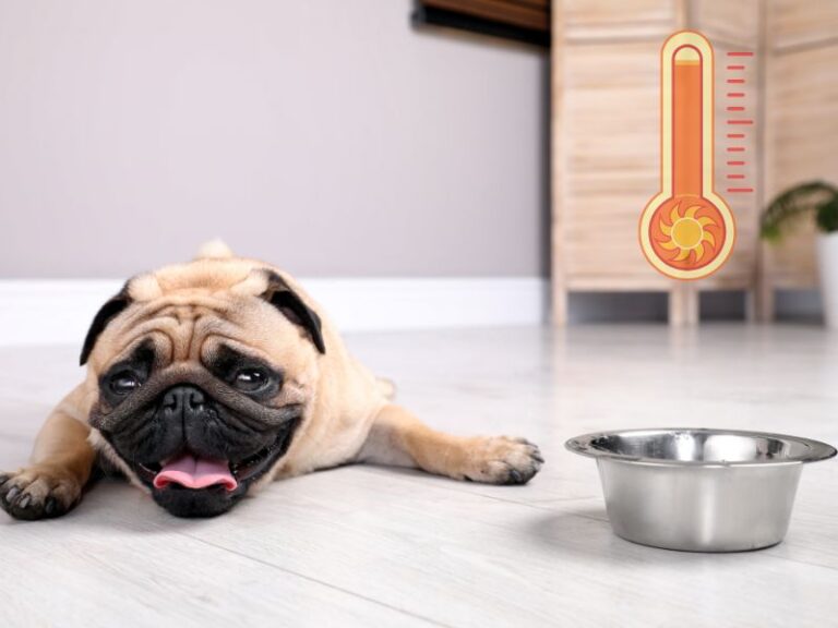 Is Your HVAC System Ready for Summer? 5 Easy Ways to Check